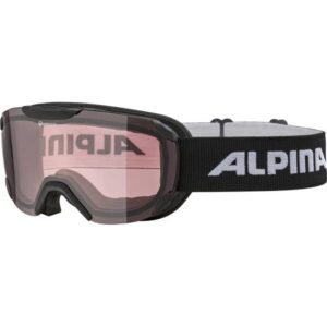 ALPINA Skibrille Pheos QVMM