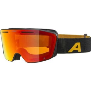 Alpina NENDAZ Q-LITE (Neutral One Size) Skibrillen