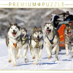 CALVENDO Puzzle CALVENDO Puzzle Der Musher duckt sich in seinen Schlitten um die Last für seine Hunde zu verringern 1000 Teile Lege-Größe 64 x 48 cm Foto-Puzzle Bild von CALVENDO Verlag, 1000 Puzzleteile