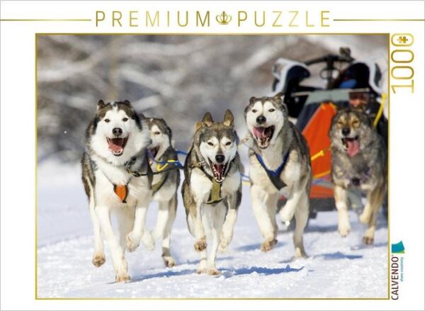 CALVENDO Puzzle CALVENDO Puzzle Der Musher duckt sich in seinen Schlitten um die Last für seine Hunde zu verringern 1000 Teile Lege-Größe 64 x 48 cm Foto-Puzzle Bild von CALVENDO Verlag, 1000 Puzzleteile