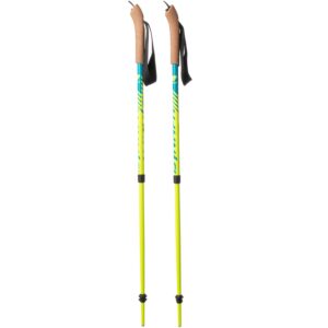 Dynafit Youngstar Pole Stock Kinder