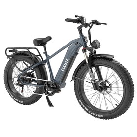 ESKUTE ES26YWXD 750W 20Ah Elektrofahrrad grau