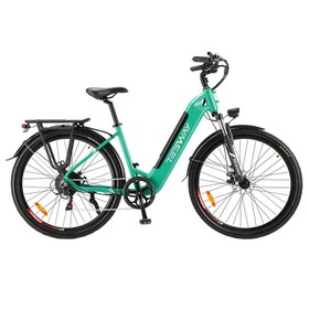 TESWAY WALKER Elektrofahrrad 250W 12AH Grün